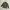 Youth & Coats Camo Pattern Tiger Stripe Jungle Fatigue photo 1