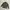Youth & Coats Camo Pattern Tiger Stripe Jungle Fatigue