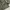 Youth & Coats Camo Pattern Tiger Stripe Jungle Fatigue photo 6