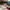 Vans slip on 47 v dx anaheim photo 8