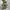 Converse Chuck Taylor 70S Archives Print Camo High Non Egret photo 4