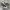 Converse Chuck Taylor 70S Archives Print Camo High Non Egret photo 2