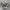 Converse Chuck Taylor 70S Archives Print Camo High Non Egret photo 1