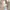 Vintage Minimalist Handbag Wanita tan photo 3
