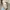 Vintage Minimalist Handbag Wanita tan photo 2