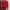 Red Cardigan 