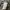 KAOS MARK GONZALES STRIPE TSHIRT  photo 4