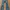 A*K blue  flare jeans  photo 2