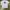 Powell Peralta Stave Caballero T Shirt photo 1