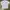 Powell Peralta Stave Caballero T Shirt photo 2