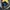 Beams Streetwear Leather jacket Pria black photo 4