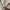Cotton on 3d textured photo 4