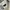 Cotton on 3d textured photo 3
