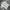 Cotton on 3d textured photo 1