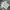 Cotton On 3d Textured