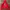 WEKSNOOP SAINT MARIA HOODIE photo 3