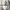 Lululemon Sportswear Minimalist Crossbody Bag Wanita gray photo 6