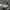 Lululemon Sportswear Minimalist Crossbody Bag Wanita gray photo 4