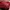 Jersey home Liverpool 2019/2020 GO photo 4