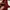 Jersey home Liverpool 2019/2020 GO photo 8