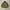 Vintage baracuta G4 harrington jacket photo 2