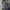 Album BTS SLA