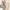 Luxury Minimalist Crossbody Bag Wanita green photo 3