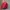 Sweater Merah Ceri photo 1