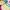 Nike Dynamo Go Multicolour photo 6