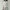 Casual Minimalist Shirt Wanita white cream photo 5