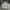 Uniqlo X Ines De La Fresange Paris jacket warna veterano  photo 1