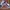 VANS Sportswear Casual Casual shoe Pria black photo 2