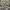 Vest Canon Photography Multi Pocket Size photo 4