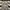 Vest Canon Photography Multi Pocket Size photo 2