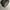 BLACK YAK photo 4