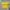 Corteiz Casual T-shirt Pria yellow photo 1