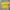 Corteiz Casual T-shirt Pria Yellow