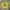 Corteiz Casual T-shirt Pria yellow photo 2