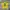 Corteiz Casual T-shirt Pria Yellow