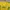 Corteiz Casual T-shirt Pria yellow photo 3