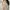 BRONZEBEHAVIOUR Halter Blouse (M) photo 1