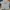 Adidas Streetwear T-shirt Pria multicolor photo 1