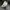 Egoist Y2K Flare pants Wanita black photo 7