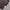 One Day longpants washed dark brown jeans, Loose Fit photo 8