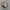 Puma Indoor Frosted Ivory Galactic Grey photo 1