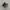 Nike Tailwind Skepta Full Black Led photo 1