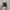 Nike Tailwind Skepta Full Black Led photo 4