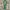 Canvas Belt Green 