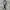 Leather belt yohji yamamoto photo 1