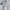 Daks Casual Casual shirt Pria white photo 3